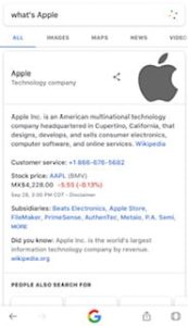 searching what's apple and semantic search shows the company and not apple