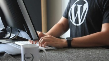 12 Reasons WordPress Is The Best For SEO